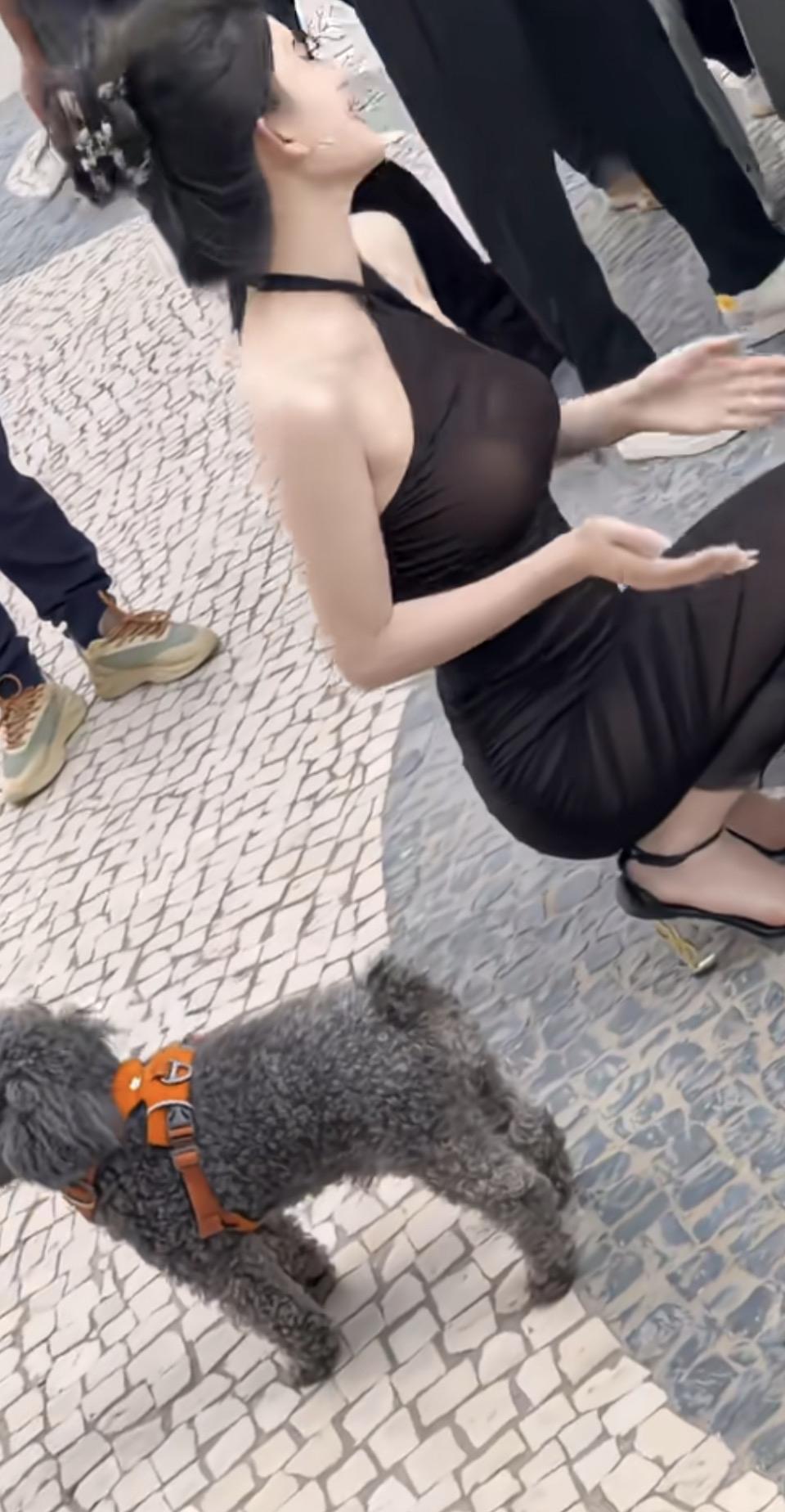 穿黑裙子的女士在喂狗。