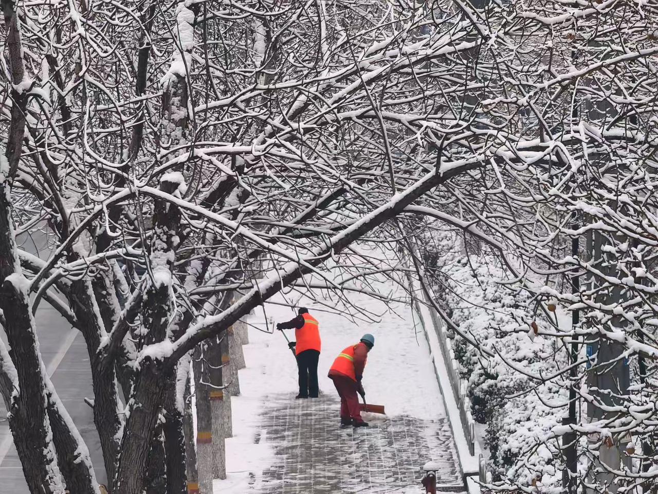 晒图笔记大赛雪落无声，橙衣有情。当世界被银装素裹，他们用手中的工具，扫出一条通往