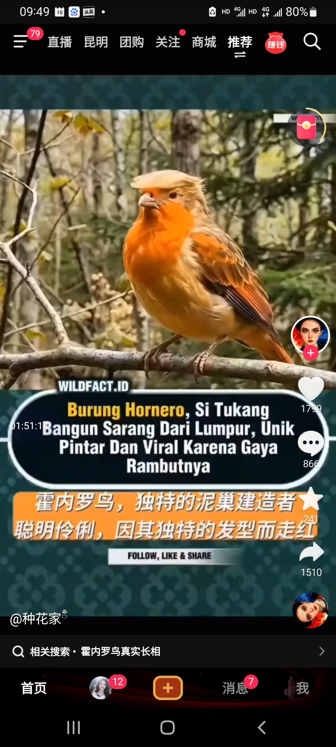 请问这是什么鸟人？