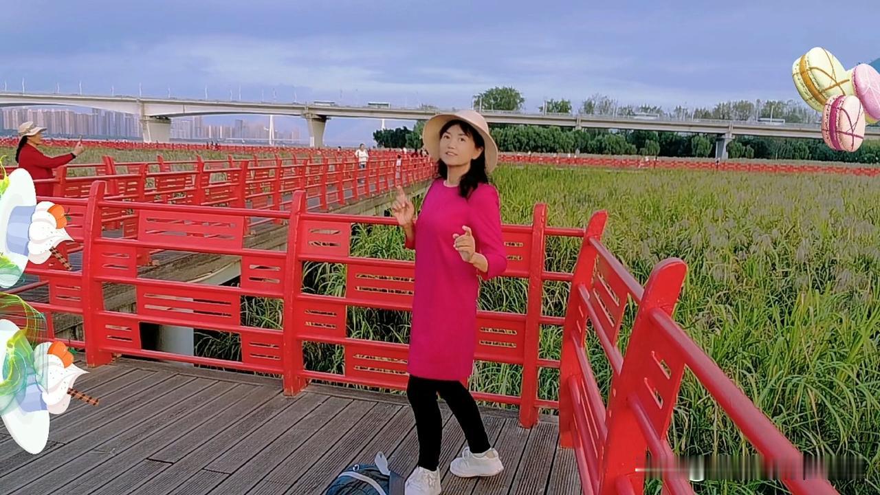 二十年前的裙子，如今又合身了。
我的衣柜深处，静静挂着这件玫红色的哥弟牌裙子，算