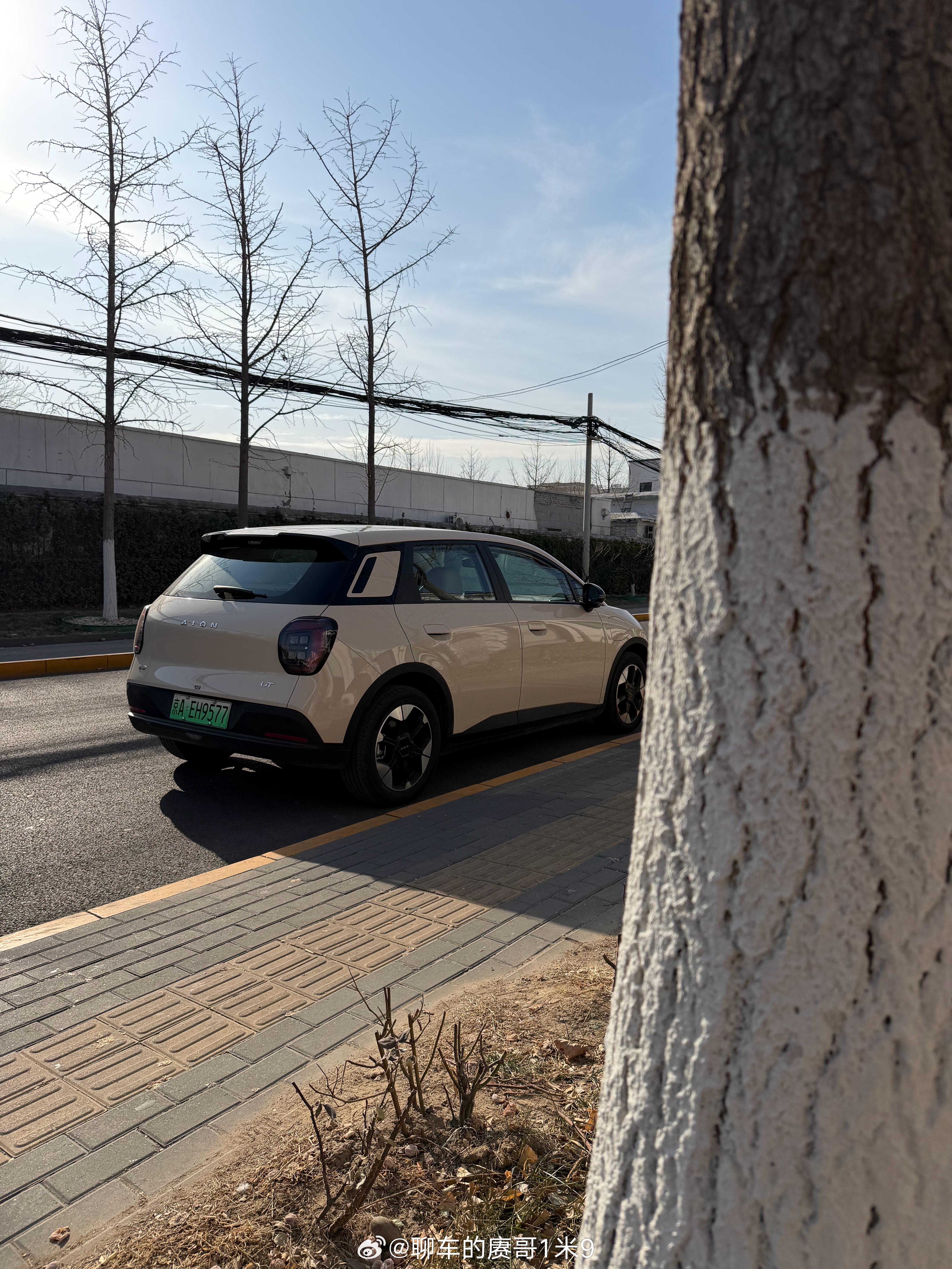 又拍回来了😁赓言赓语