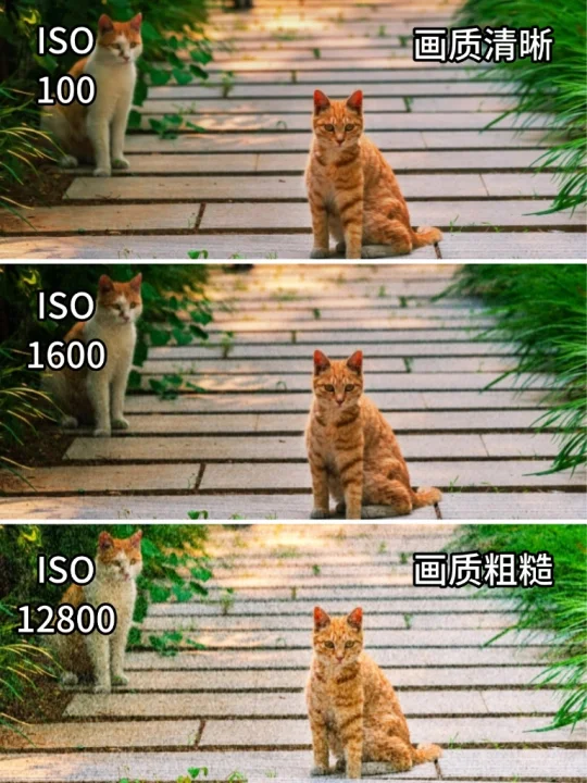 超直观认识曝光三要要素！！