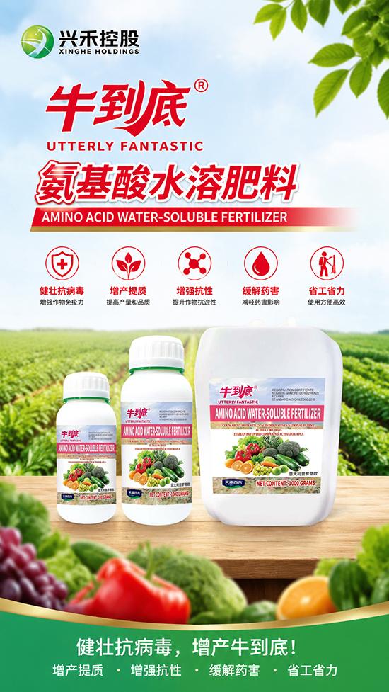 山东兴禾控股有限公司重磅打造的“牛到底”高活性功能氨基酸水溶肥料，由意大利普罗蒂