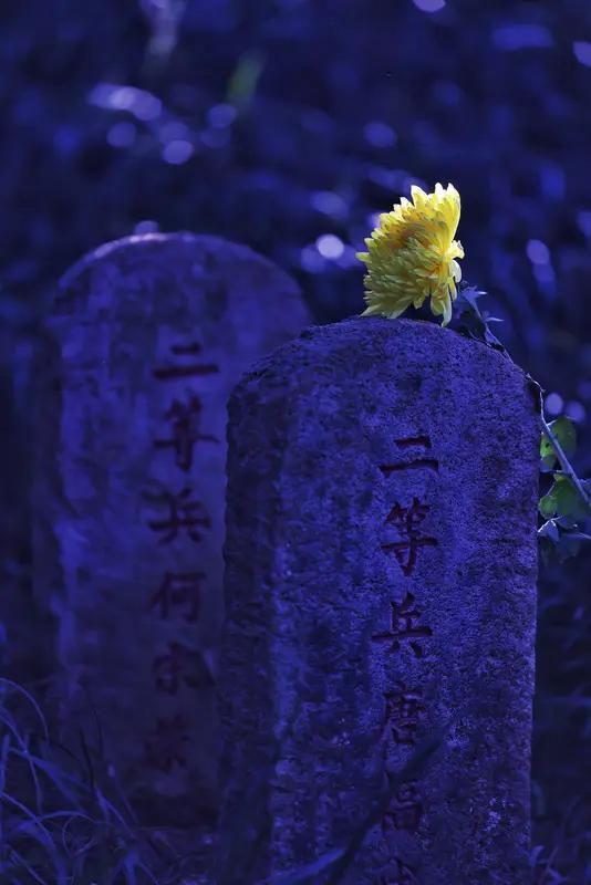 夜色如墨，一位年近八旬的烈士母亲，在儿子墓前守了整整一夜。她的儿子，为保家卫国牺