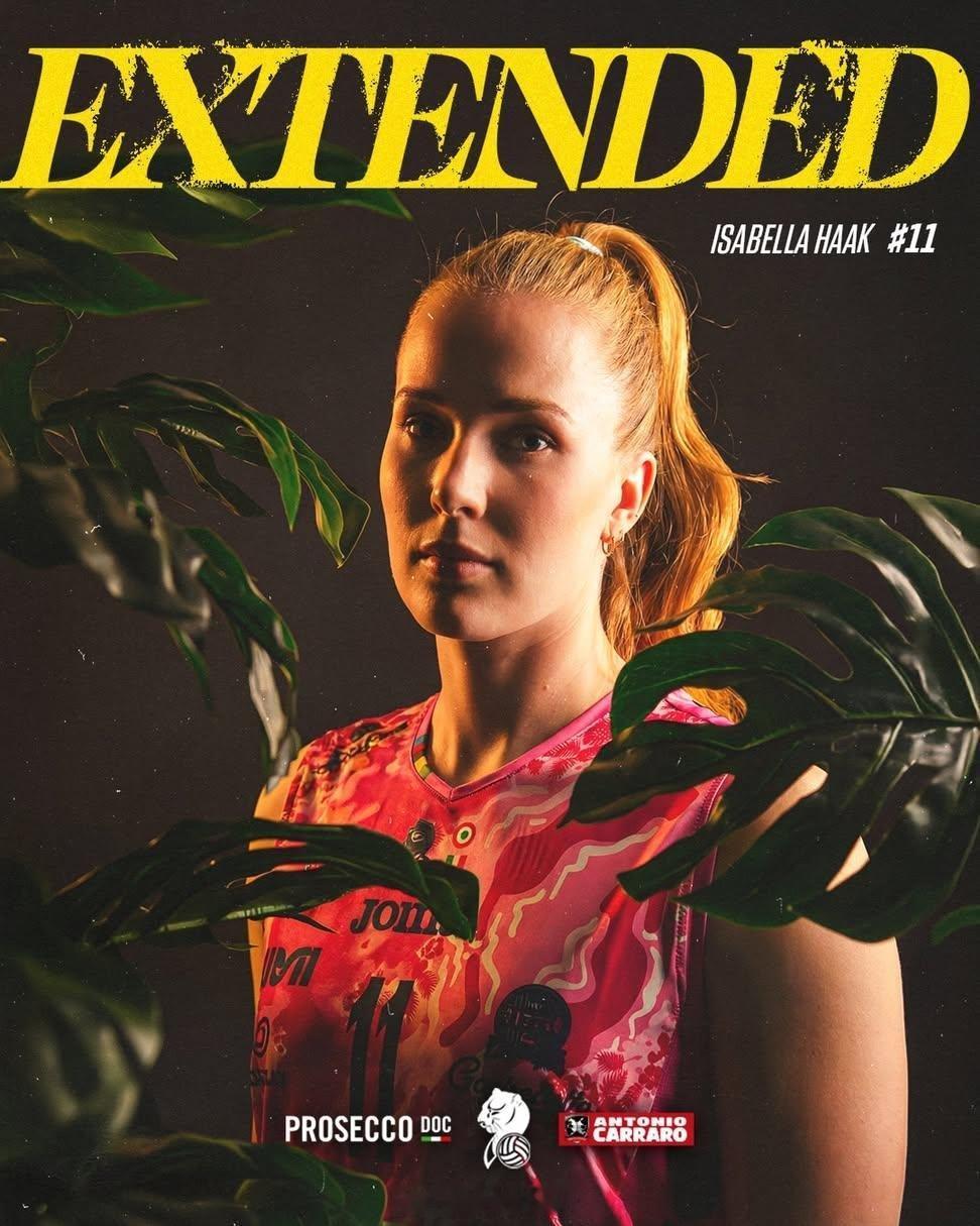 女排 谁都想要她，但是她依然是一只黑豹科内这官宣哈克的文案很6️⃣呀世界女排新闻