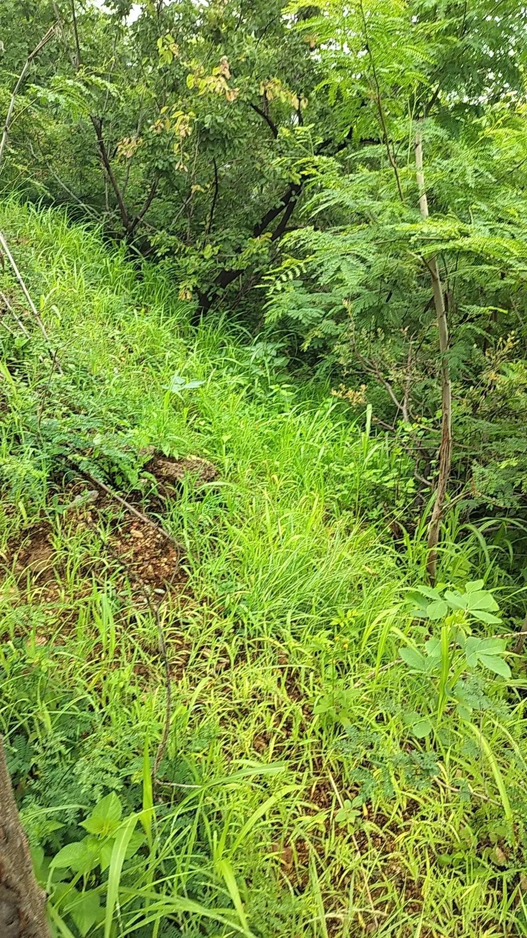 夏日生活打卡季中大乐透一等奖