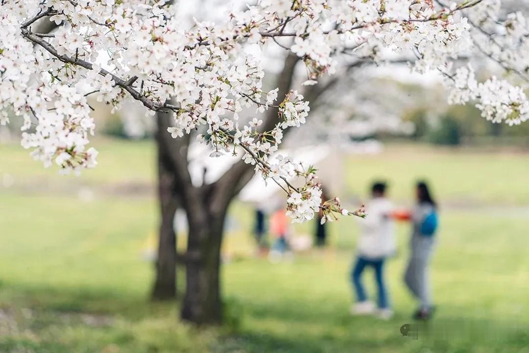 大家发现没有，
现在的独生子女，没有兄弟姐妹，只有堂兄弟姐妹，姑表兄弟姐妹，舅表