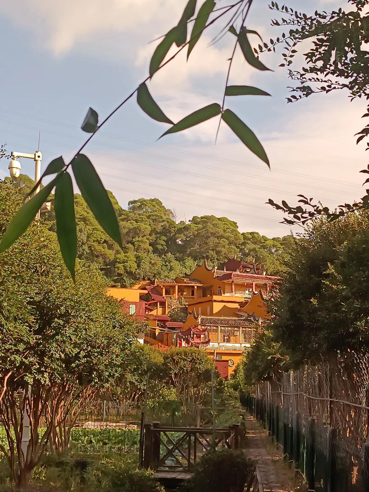 长乐营前街道的长安村，背倚青山，沿河而设。干净而又整洁的村庄，豪宅林立，主人均出