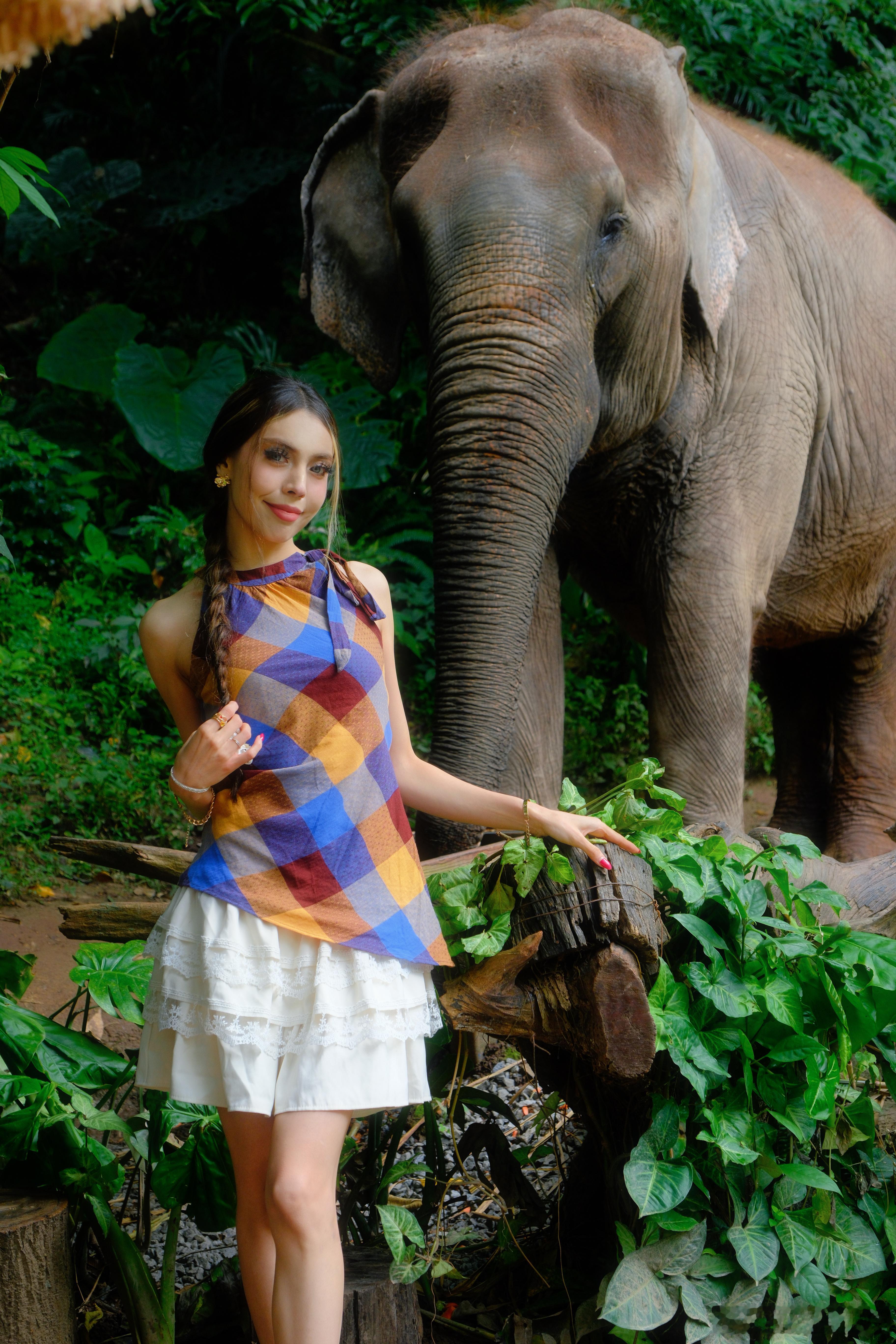 𝙗𝙖𝙣𝙣𝙖🐘 西双版纳