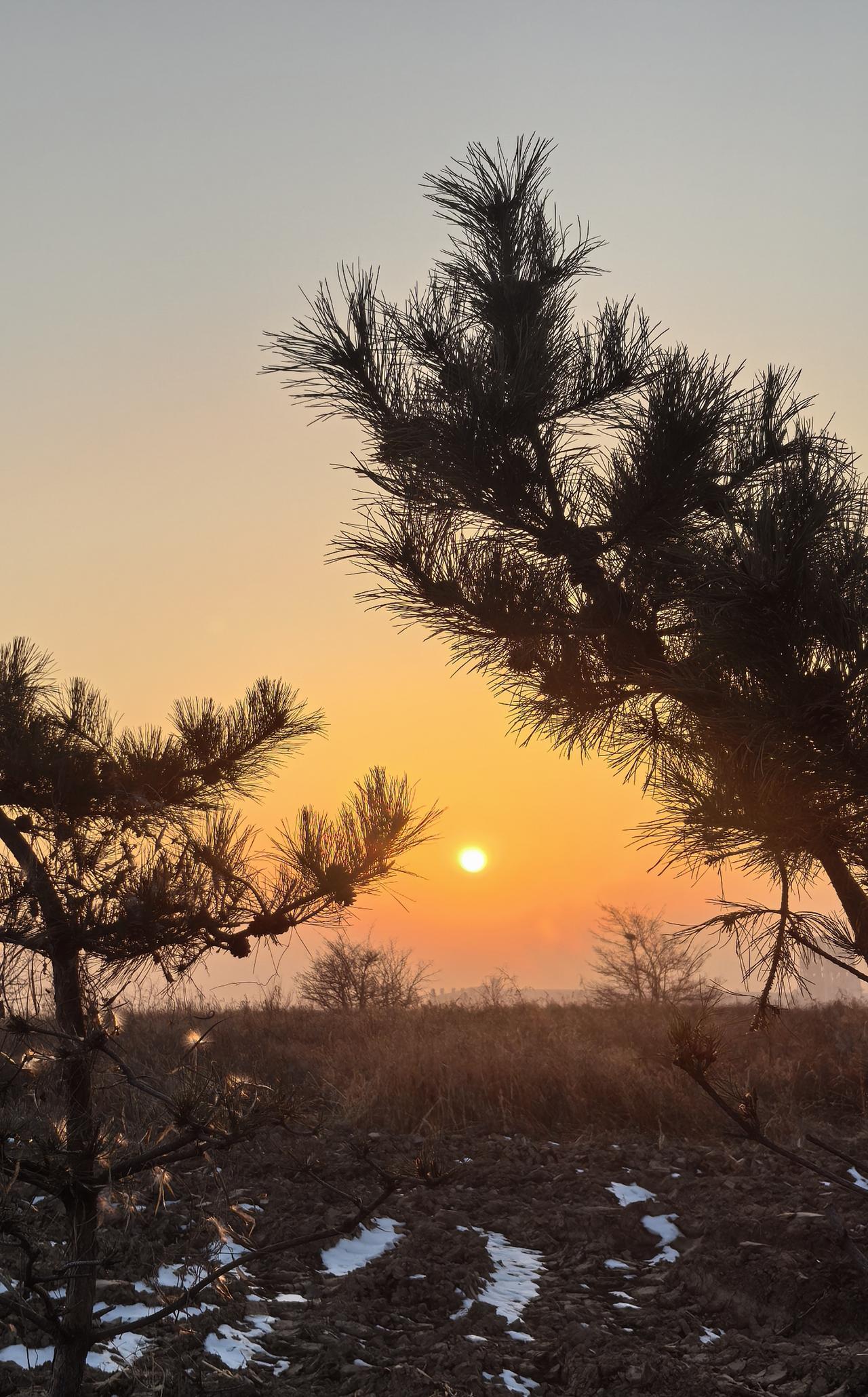 分享一张最近随手拍的照片