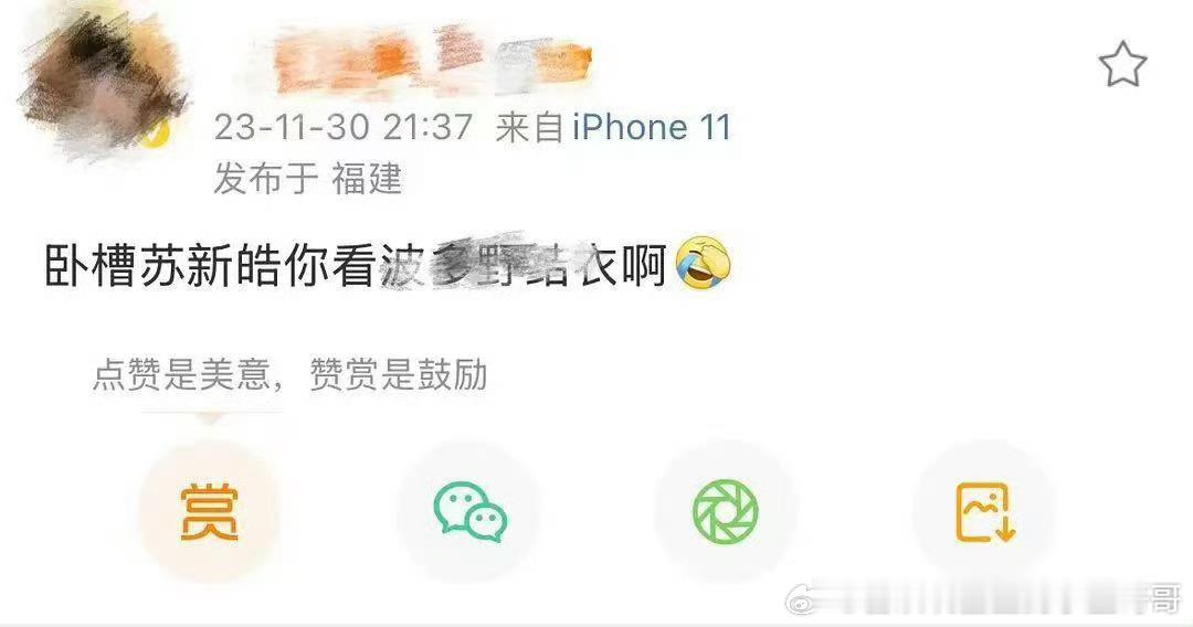 315骗假不留苏新皓是谁？ ​​​