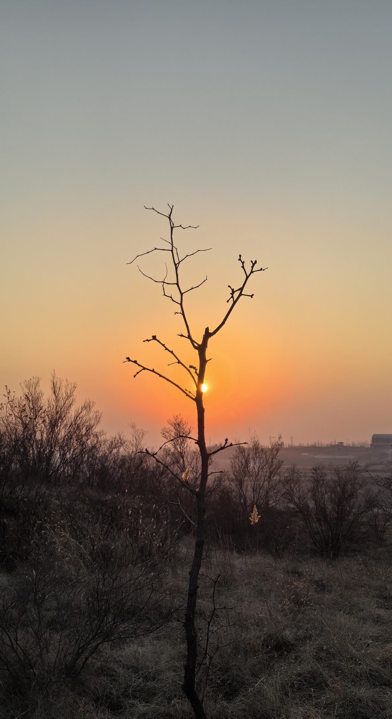 分享一下你今天随手拍下的美景
