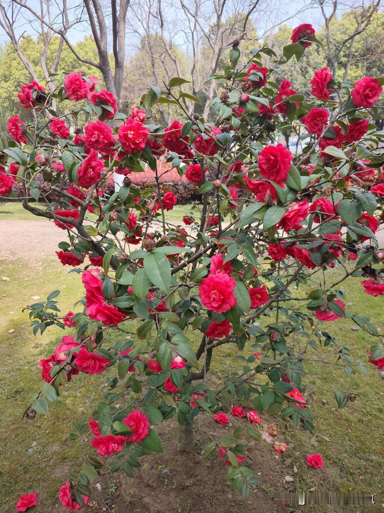 孩子的叛逆，根源在原生家庭的土壤；性格的习气，沉淀在十几年的光阴里。作为老师，我