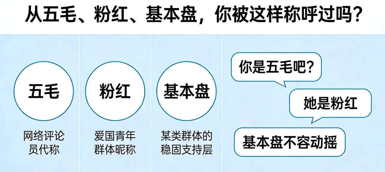 从五毛到粉红，再从粉红到基本盘。这些称呼感觉越来越高大上了，越来越好听了。
敌人