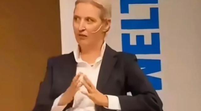 魏德尔还是十分的清醒的，她表示不会支持德国派遣军舰去到台湾周边海域进行巡查，去刷