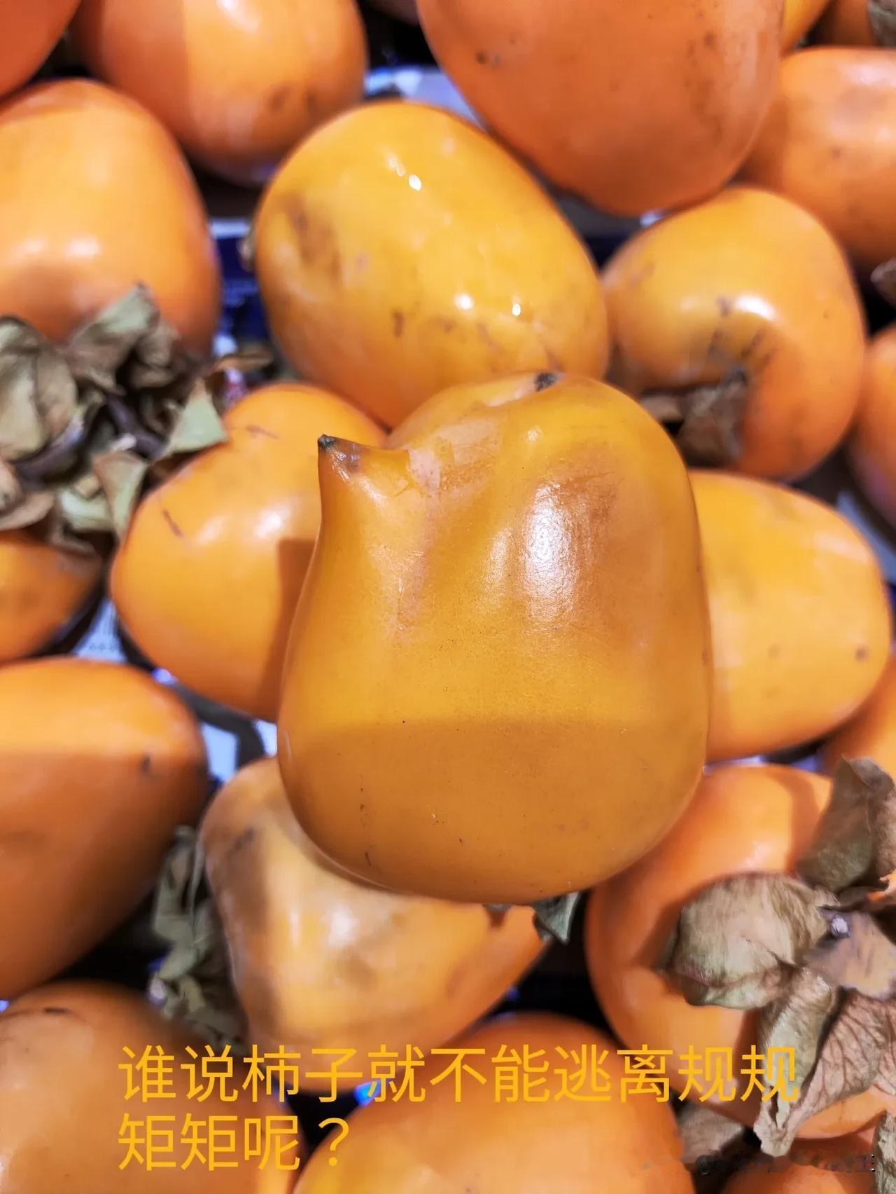 你信不信？
太多的人生问题，是因为我们想要逃离。
《正念》（乔·卡巴金）的推荐序