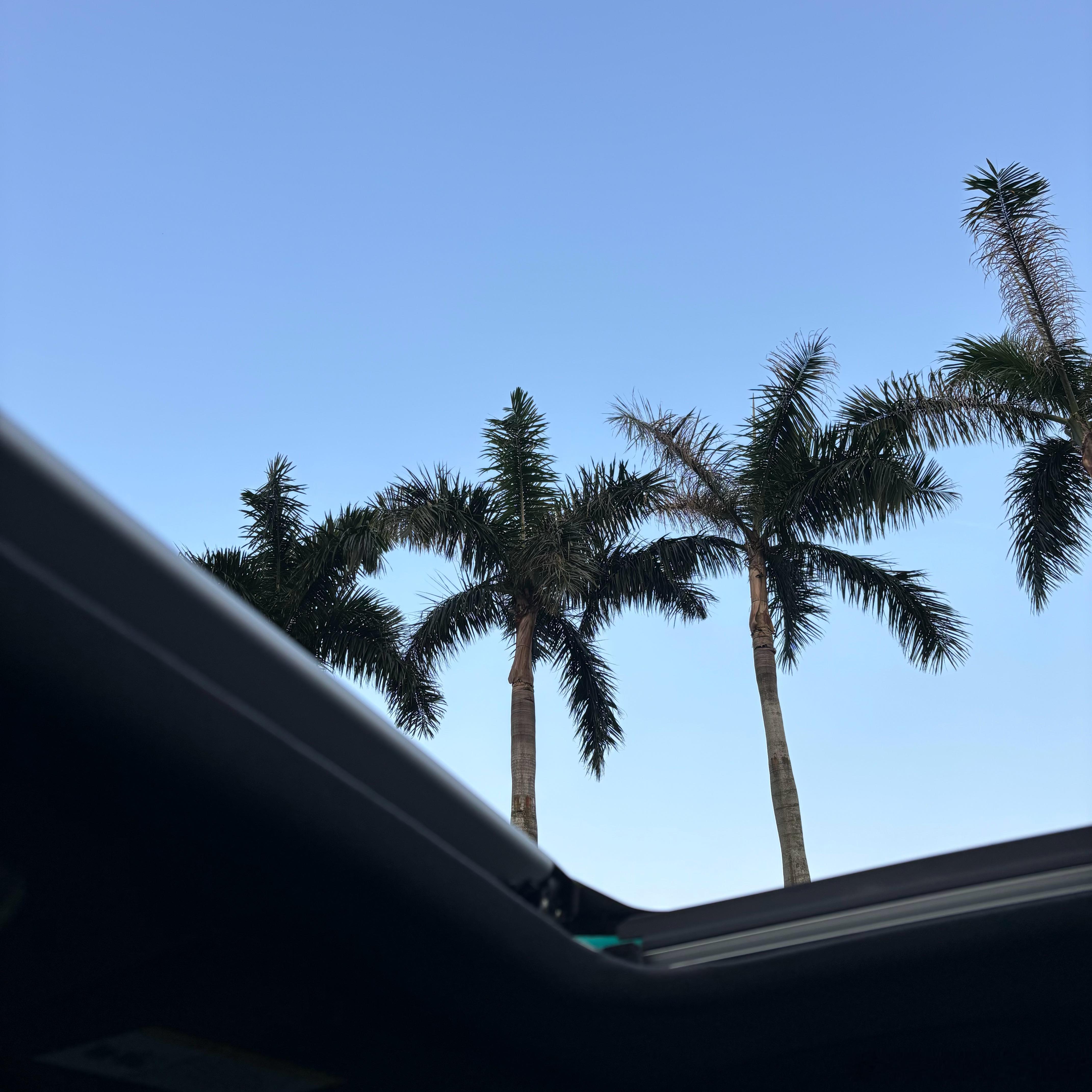 放假了吹过来的海风都是甜的结束让人崩溃的三四月🔚 