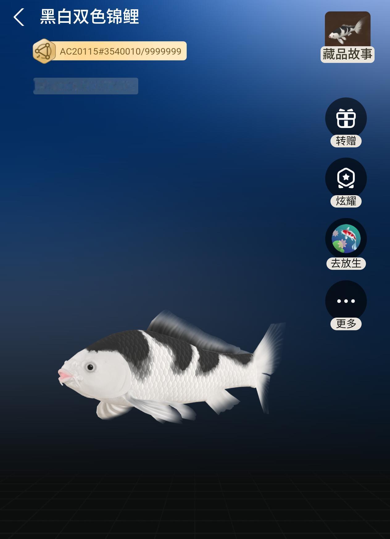 又换了一条黑白双色锦鲤
最近这两天价格不咋地呀买数字藏品的都是些什么人? 什么样