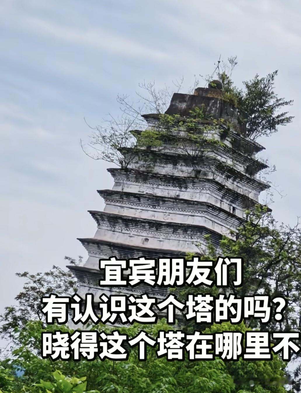 宜宾宋代的旧州塔，如今成了这样落魄，其实这下面还有个佛陀，看起来很舒服！