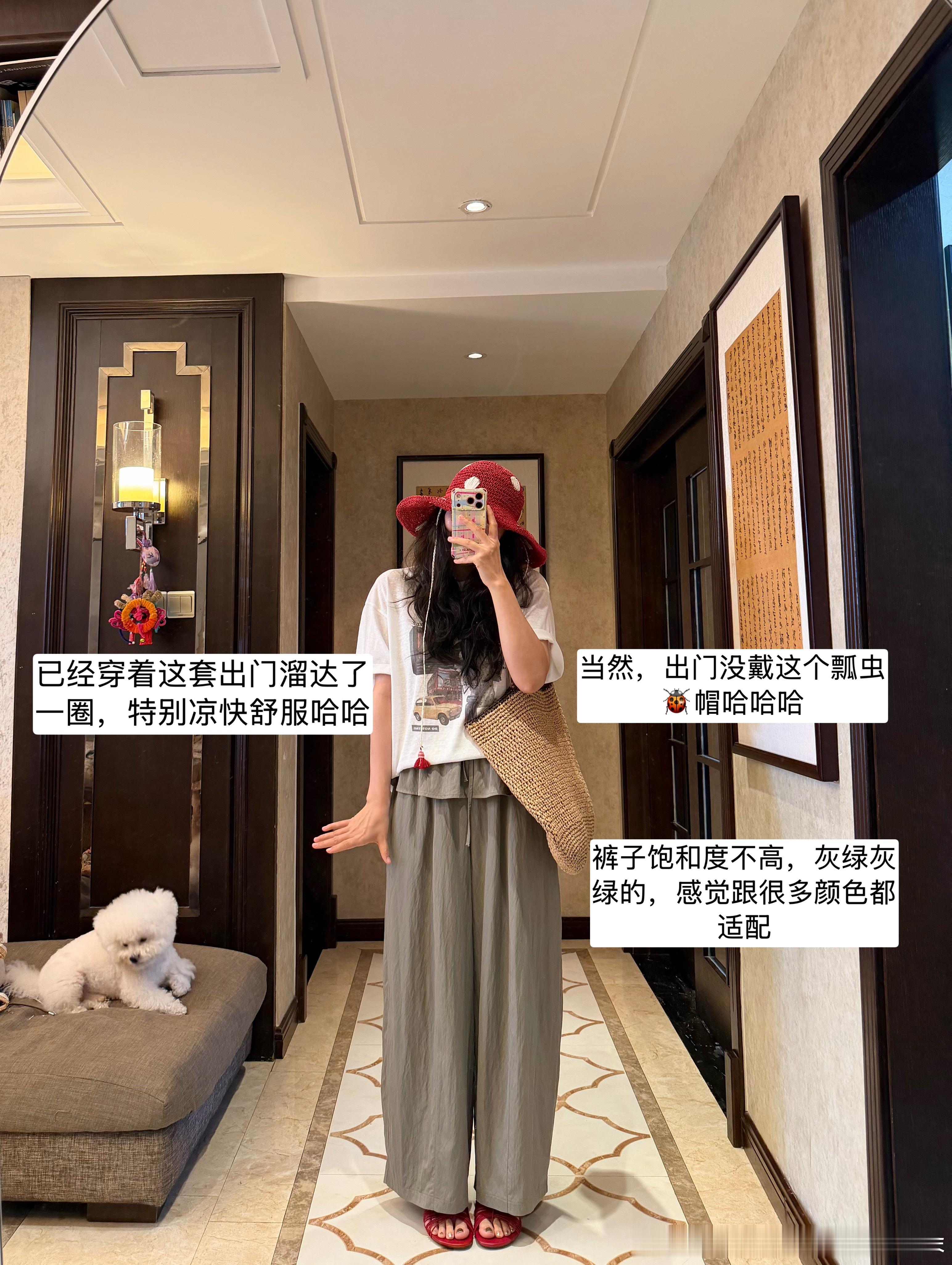 想去云南