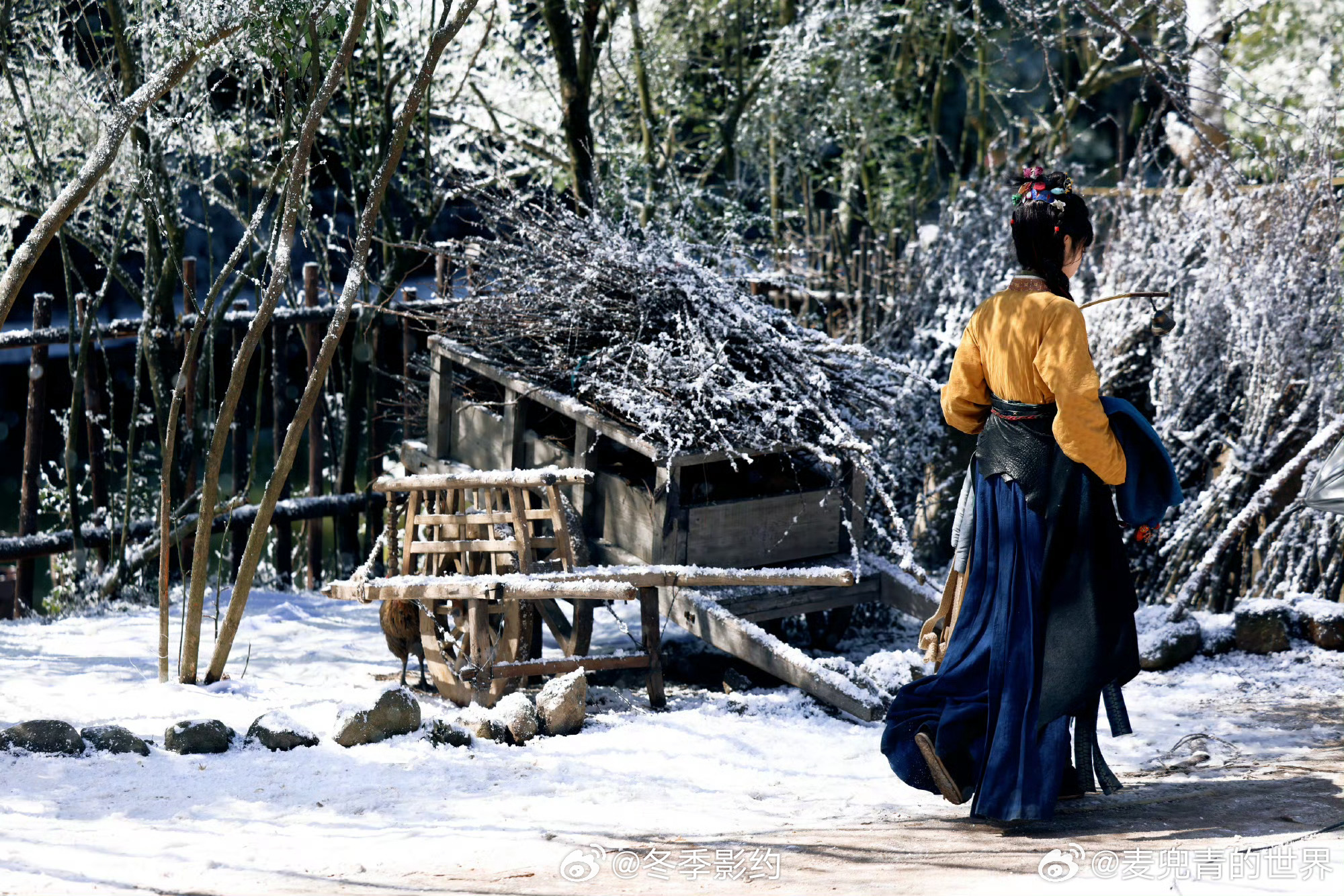 樊长玉是全世界最懂曹植的人 樊长玉背诗这段太有才了，忘词后现场发挥替豆子喊冤，改