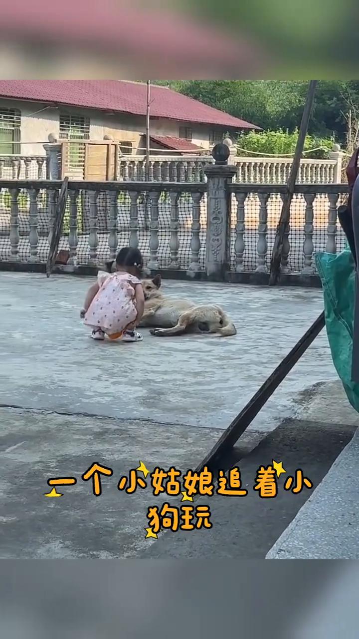 你们听过人嫌狗不待见这句话吧？
你们听过人嫌狗不待见这句话吧？今天可算让我见到活