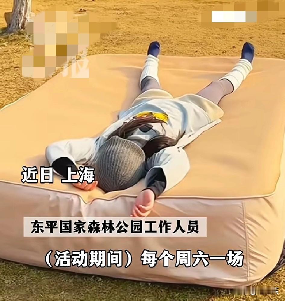 躺着就能拿3000块

东方大国上海崇明的“睡觉比赛”最近火出圈

新闻晨报、上