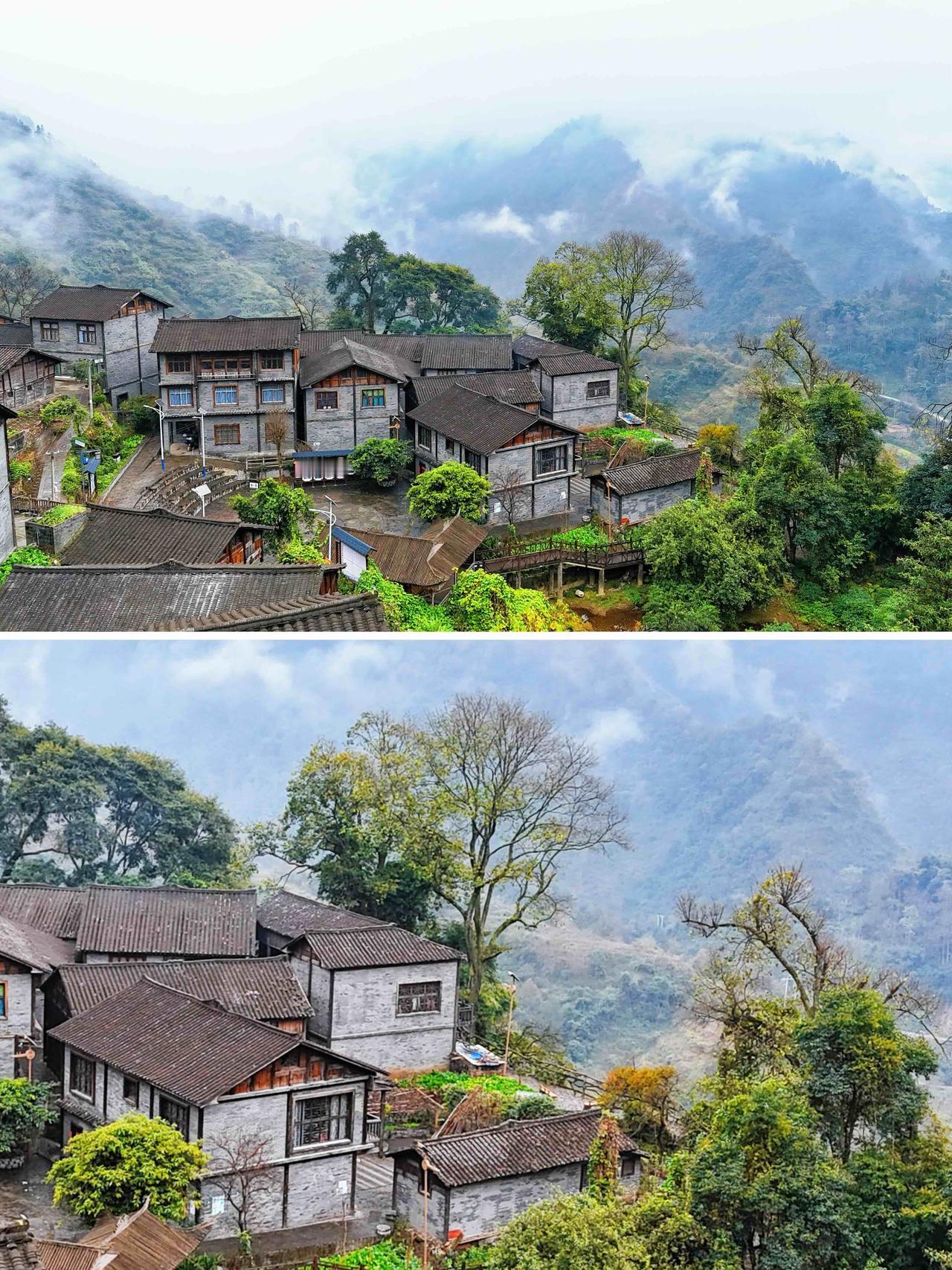 贵州被低估的秘境：走千年茶马古道，喝千年古树做的奶茶，这是什么神仙体验？

如果