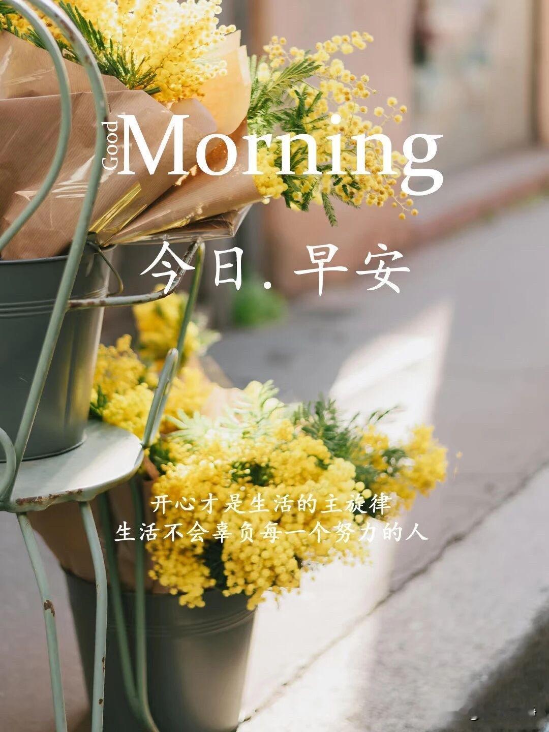 🌼²⁰²⁶/₀₆.₁₇ᵕ̈ᵕ̈ 周三｜早安祝福☀️🍃🍎🐎
🍃𝐆𝐨?
