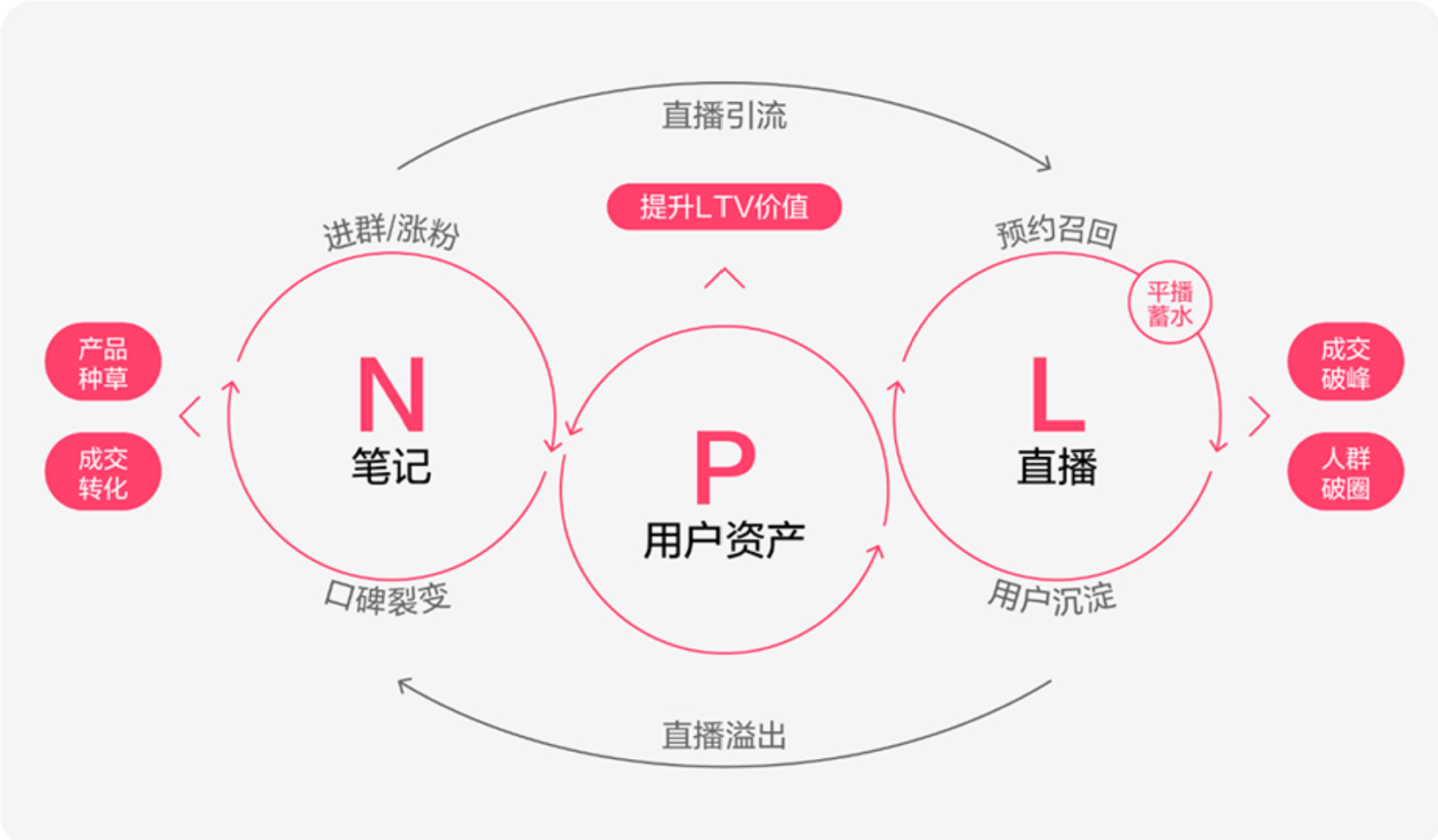 小红书酝酿12年的电商突围战：不走流量变现老路，“66周年庆”如何区别传统大促？