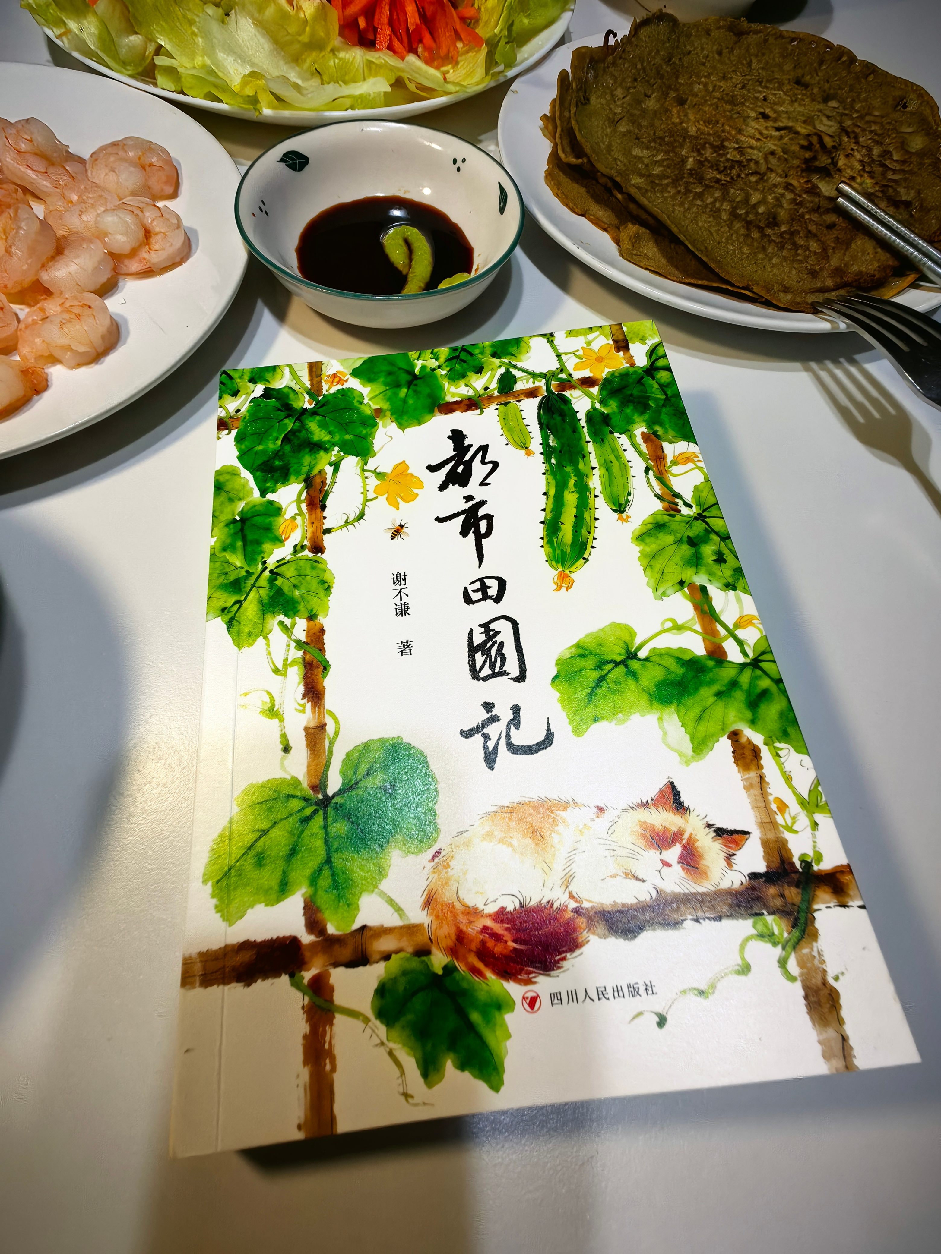 午后要去文轩BOOKS成华店参加《都市田园记》新书分享活动，抽出一本样书，一边吃