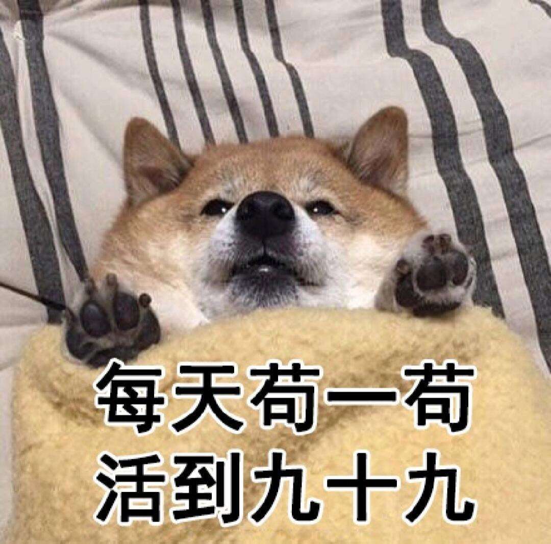 每天苟一苟