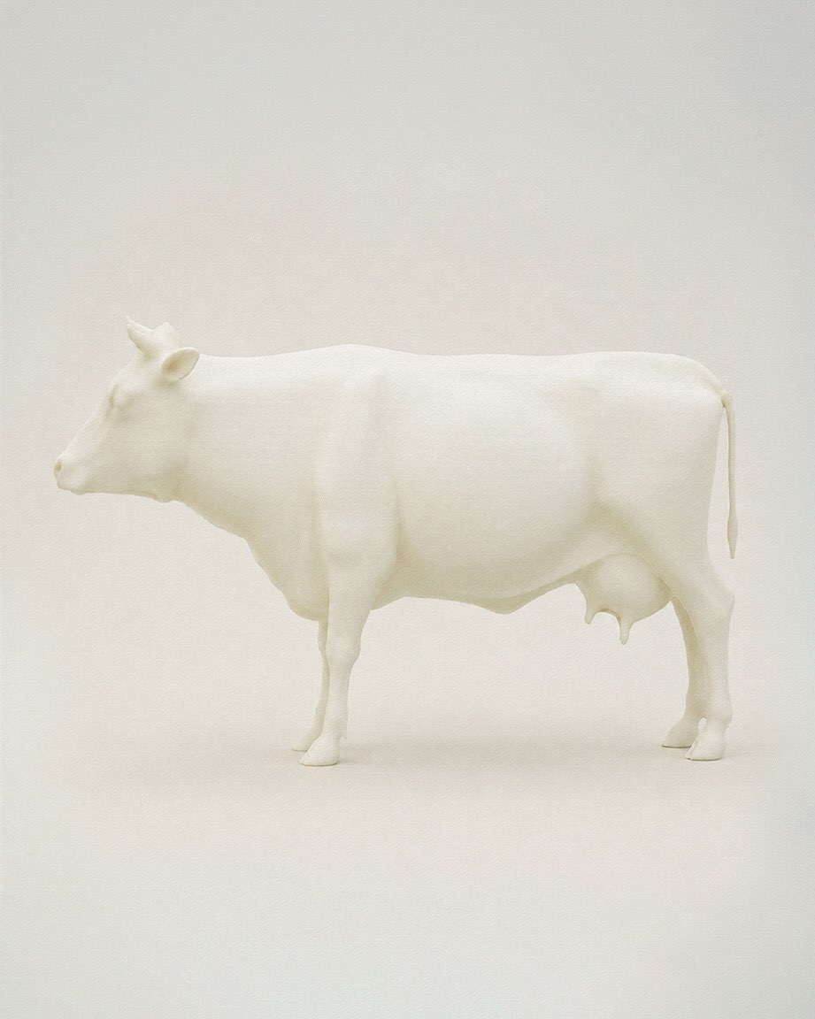 Ye + Bianca + 🐮GEMINI SEASON ♊️ 