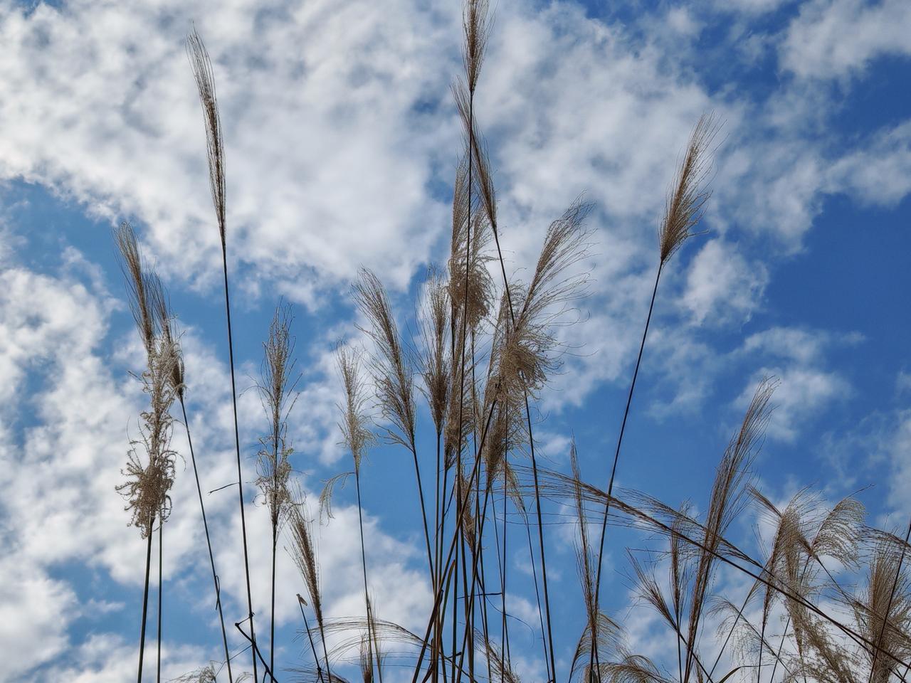 2025即将过去，2026马上到来，新年伊始，就是把羽毛球运动坚持好，重点思考如