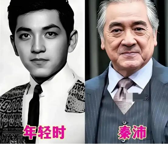 1988年，秦沛向妻子梁盛子提出离婚：“你有什么条件尽管提，但是孩子得归我。”不