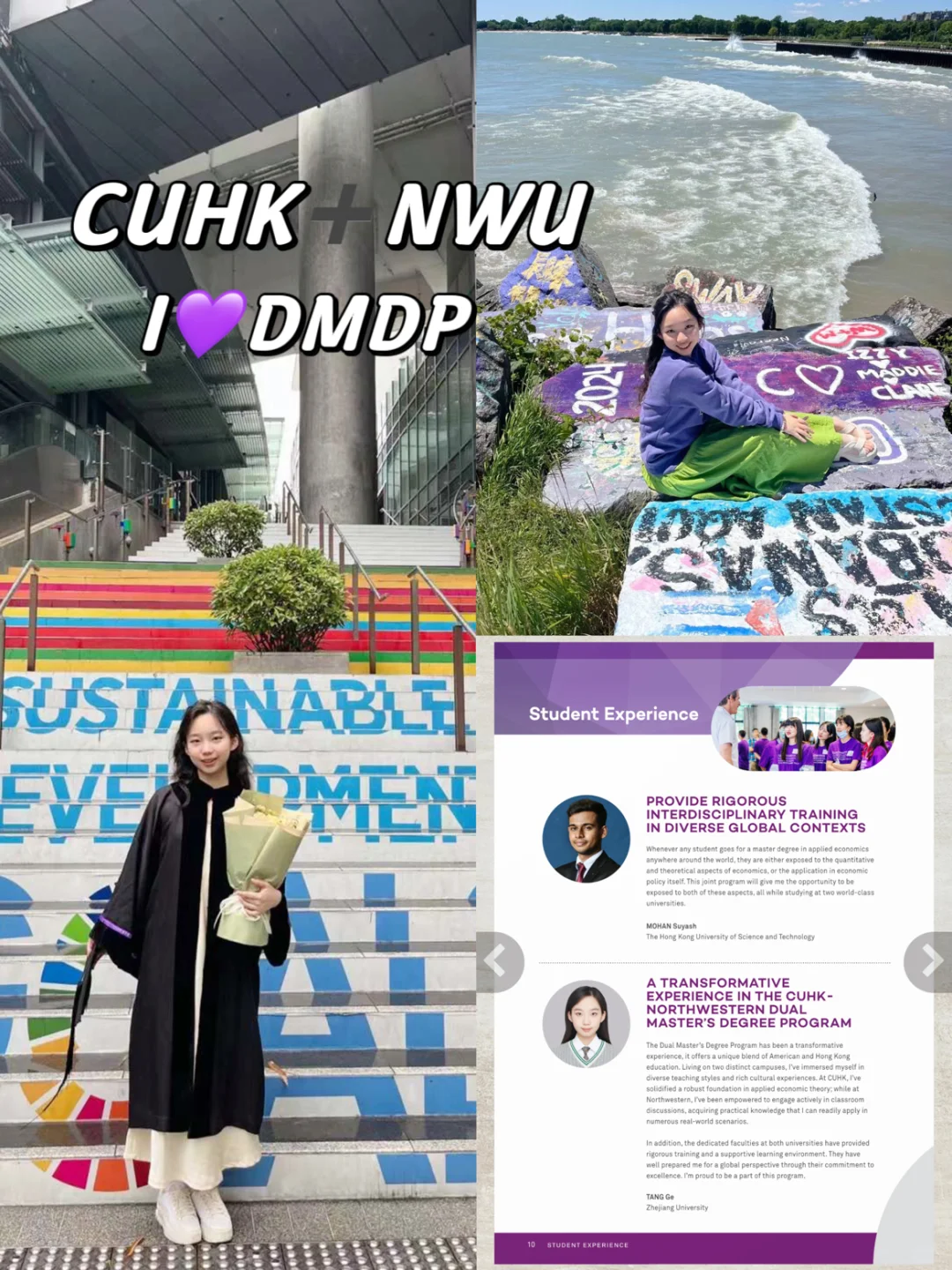 上宣传手册啦💜我们DMDP尊嘟是宝藏项目🌟