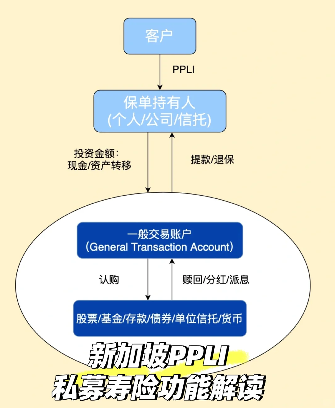 新加坡私募寿险PPLI功能解读🆔