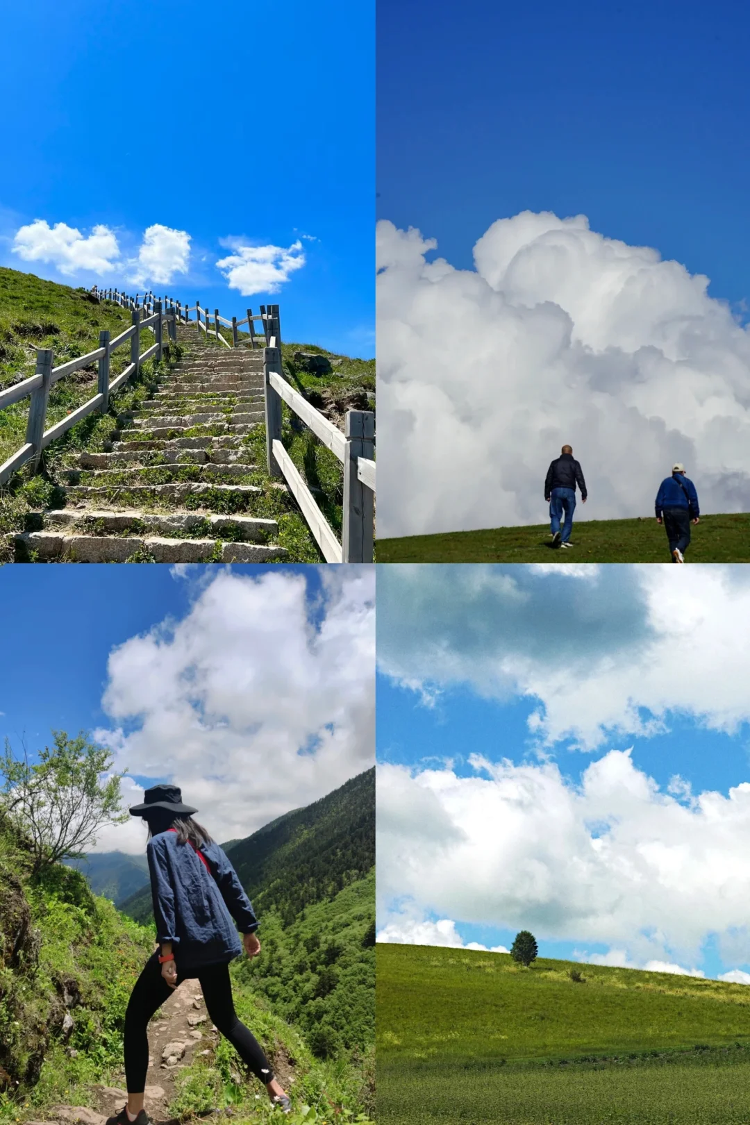 爱这高山草甸，周三东灵山超级美