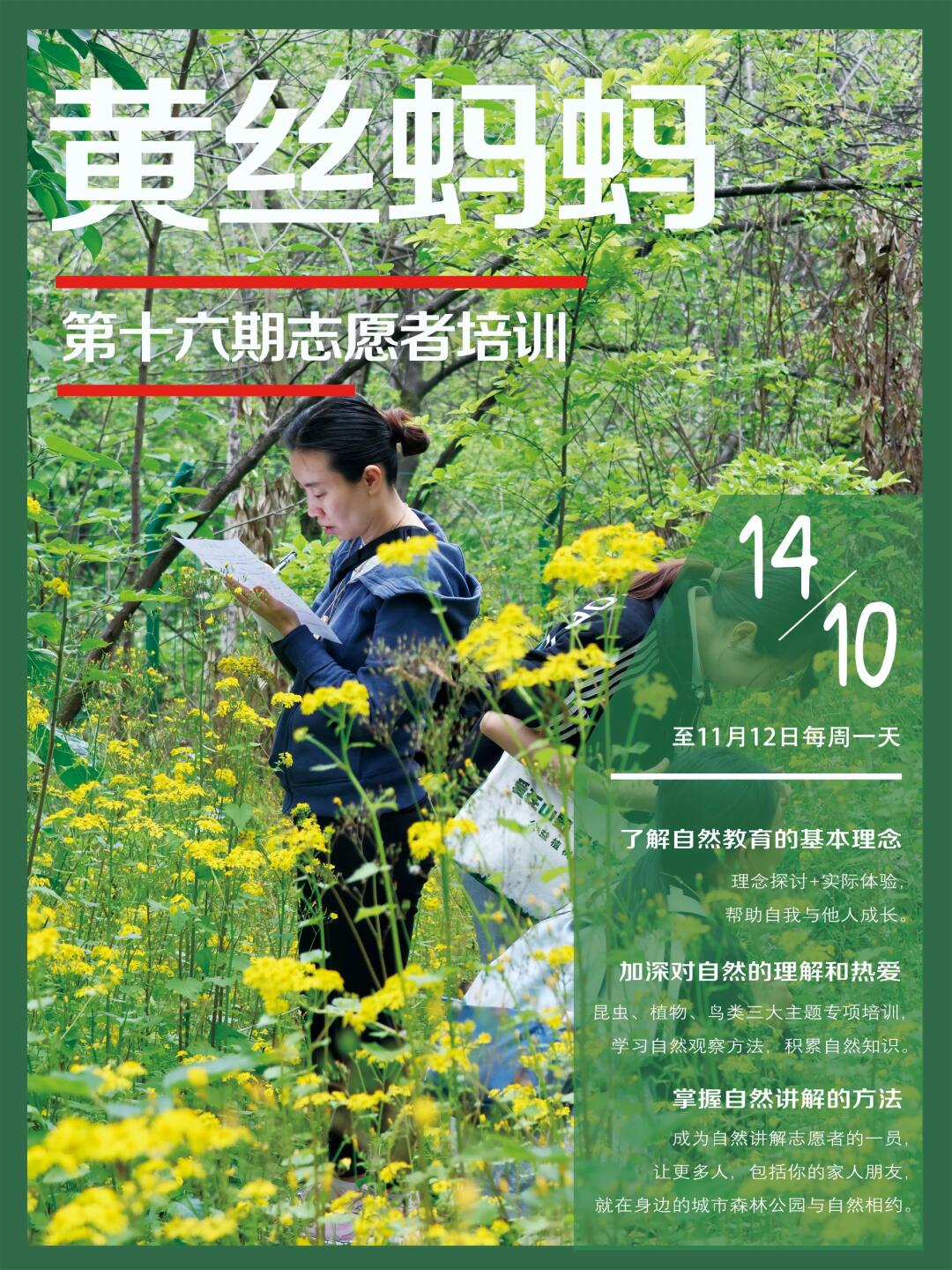 如何发现身边的自然之美？