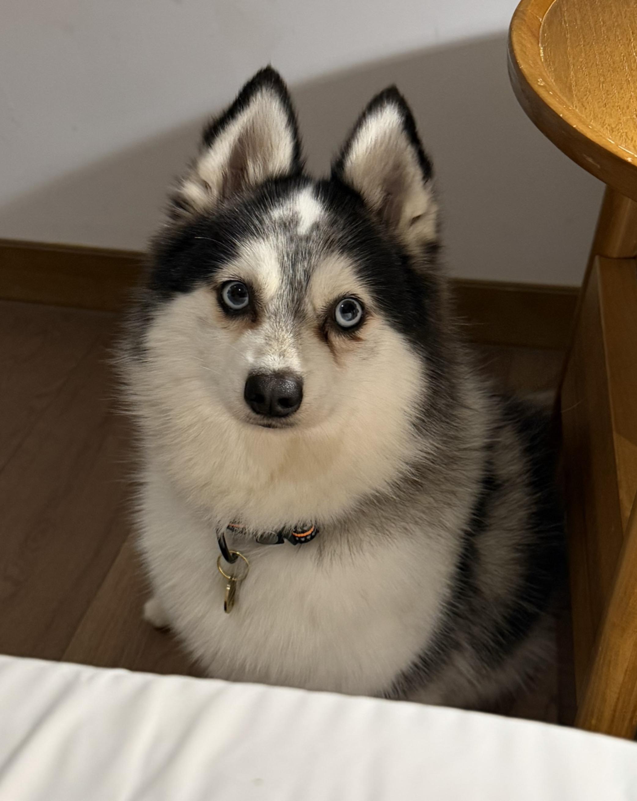 今日份美照来啦