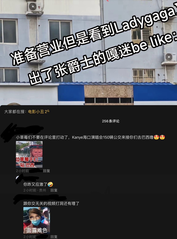 粉丝投稿：霉霉的女粉怎么也这样？在跟泰勒毫不相关的视频下面引战、dfxr ，居然
