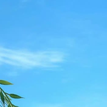 真正的心理舒适区，说的不是熟悉的环境，而是我们熟悉的应对环境的方式。走出心理舒适