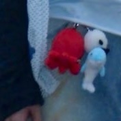哇哈哈哈哈哈哈哈哈哈哈…（笑好大声）这组图叫偷偷藏不住？！看来没有不买「章鱼」的