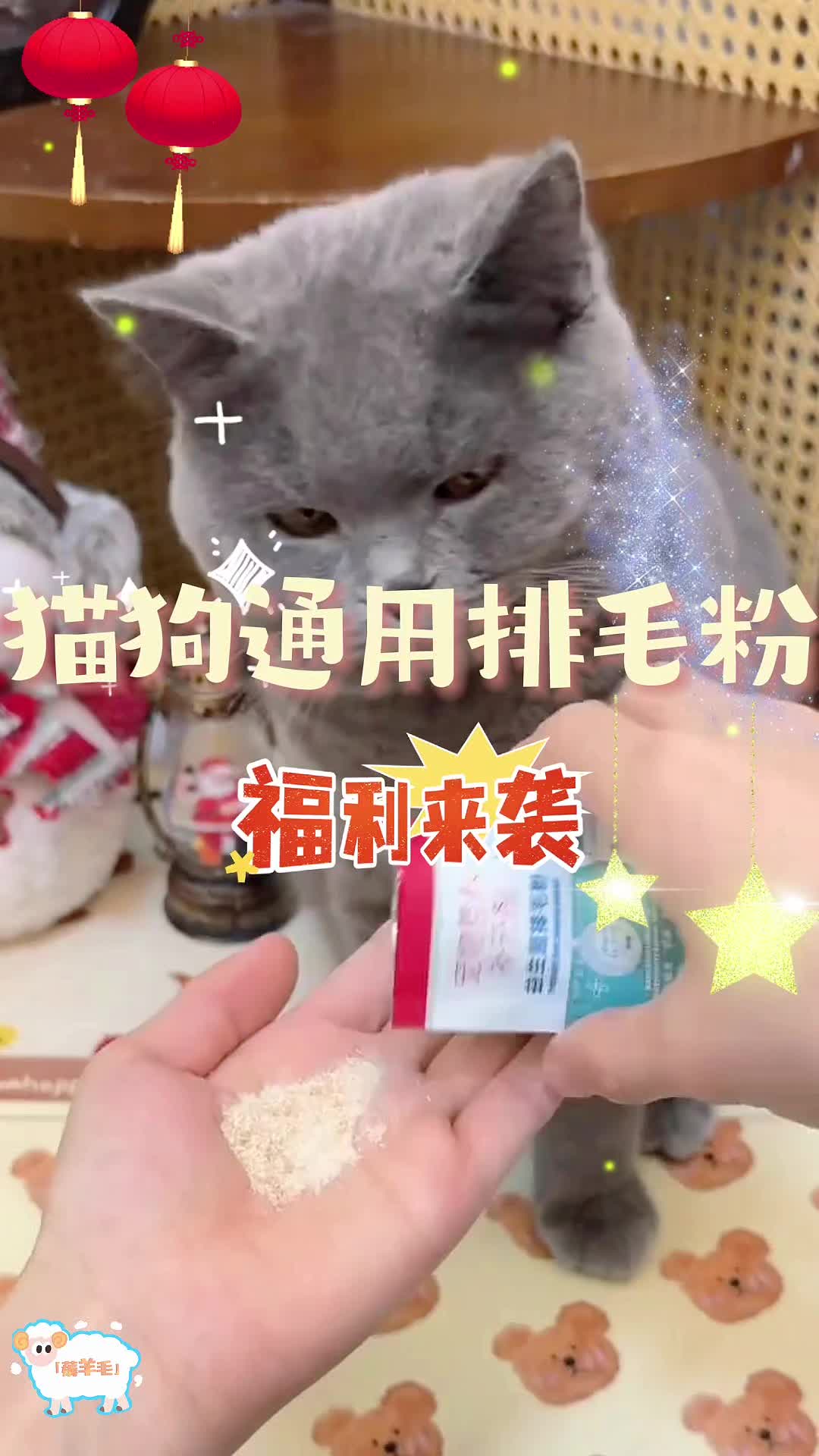 柚子皮在养猫中的妙用