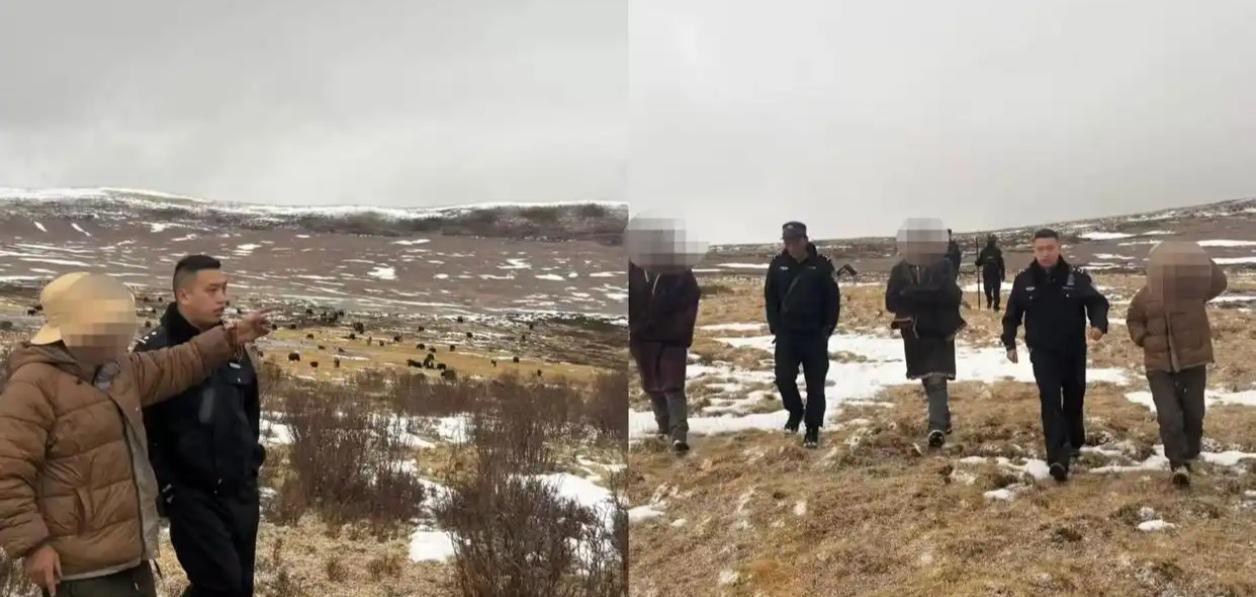 🐺 惊魂！青海一牧民徒手搏狼，双手被咬伤

4月1日，青海果洛州达日县桑日麻乡