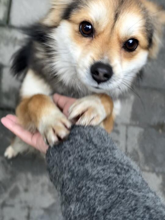 原来第一次洗澡不是乖巧是害怕🤣