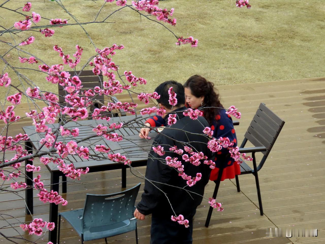 花开花落人未老，笑看春风几度来。奉化西林禅寺