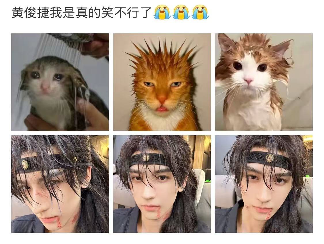 黄俊捷 落汤猫 谁见过正主玩自己梗？黄俊捷就是！前后脚甩帅照和落汤猫表情包[允悲