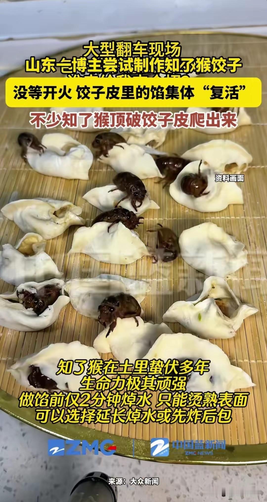 大型翻车现场！山东淄博。网友突发奇想，逮来的知了猴吃不完，索性包饺子吧！

于是