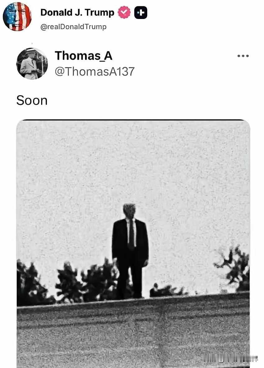 配图加文字，有点世界末日快要来了的感觉？